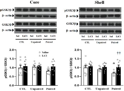 Lithium Chloride Recovers A Reduction In Gsk Phosphorylation Levels