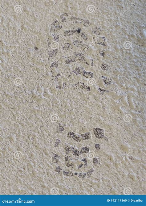 Footprints on crime scene stock photo. Image of resolve - 192117360