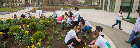 Campus Beautification Day American University Washington Dc