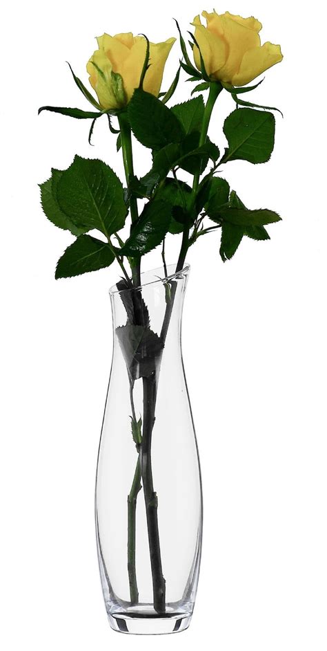 Single Stems Vase 24cm Solavia Glassware Home Décor