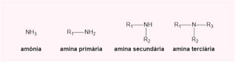Diferença Entre Amina E Amida - Amina Primaria Secundaria Terciaria Nomenclatura Aminas Química