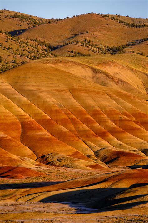 The Ultimate Guide to the Painted Hills Oregon » Local Adventurer