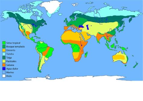 Biomas Terrestres - Mapa de Los Biomas | PDF