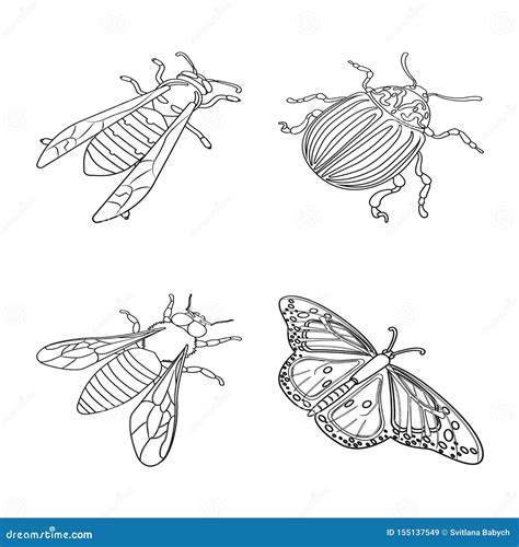 Entomology Field Concept, Flat Tiny Person Entomologists Vector