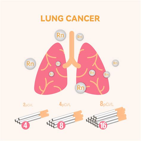 Cradtec Radon Detector II - CRADTEC