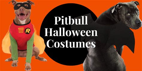 Best Pitbull Halloween Costumes for Your Dog.