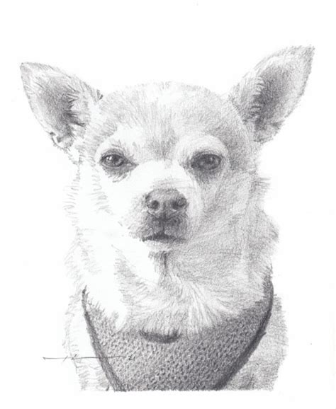 Mike Theuer Pet Portraits Gallery Pet Drawings And Paintings