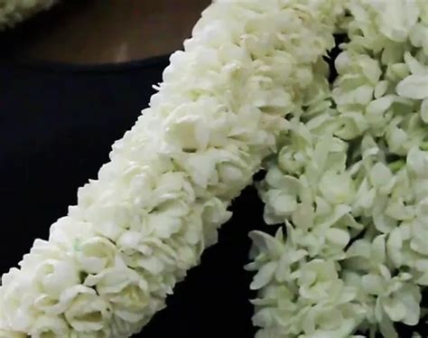 Tamil First Night Fucks Indian Asian Asian Porn XHamster