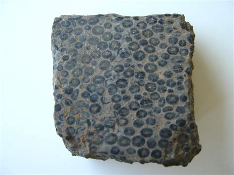 ooids sedimentary spheres emily zawacki phd