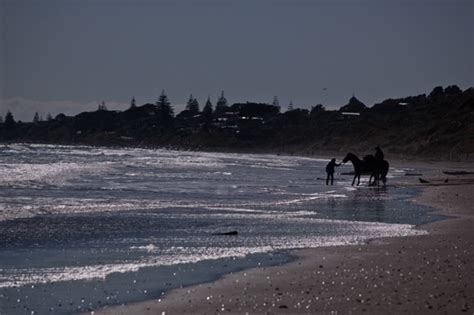 Paekakariki Beach: a photostudy