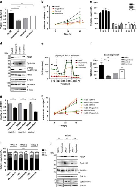 Anti Angiogenic Therapy Using The Multi Tyrosine Kinase Inhibitor