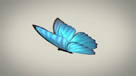 Flying Butterfly Animation For Powerpoint