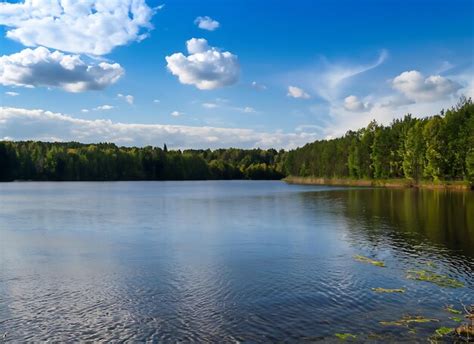 Premium Ai Image Forest Lake Under Blue Cloudy Sky