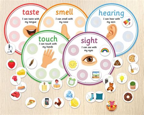 Five Senses Sorting Activity Senses Classification Game Preschool