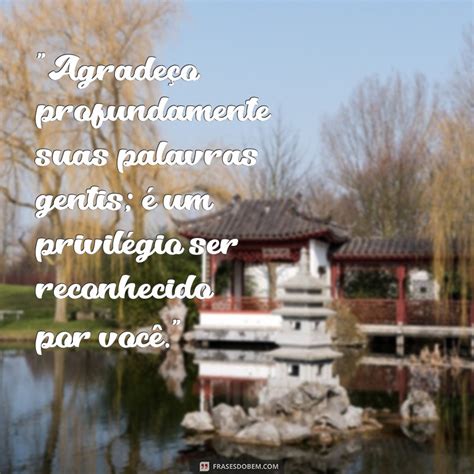 Como Responder Um Elogio De Forma Elegante - Formas Elegantes de Agradecer um Elogio: Guia Prático - Frases do Bem