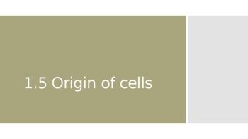 1.5 Origin of cells IB Biology SL by Rodrigo Cardenas | TpT 