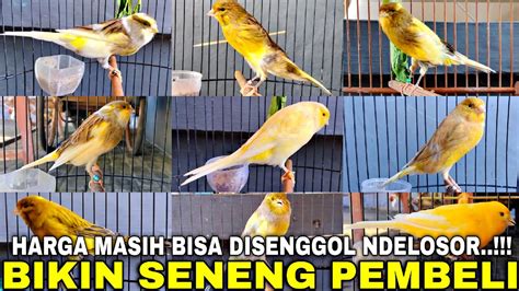 luar biasa salah satu kios  mengutamakan kualitas