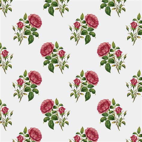 vintage roses background wallpaper  stock photo public domain