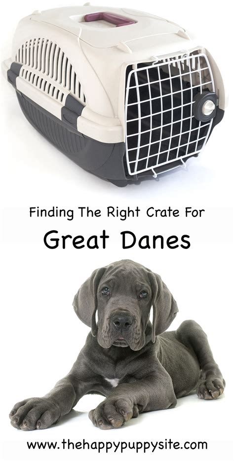 How Do You Crate Train A Great Dane Puppy