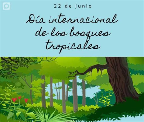 D A Internacional De Los Bosques Tropicales Islavision Webislavision Web