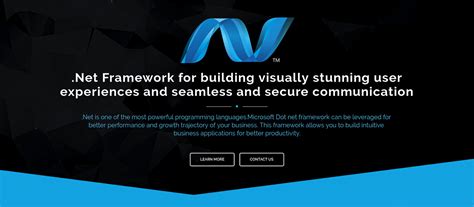 dot net development services web page  behance