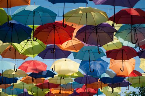 Free stock photo of colorful, umbrella, umbrellas