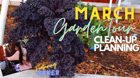 Relaxing March Garden Tour Clean Up Planning Zone8a YouTube