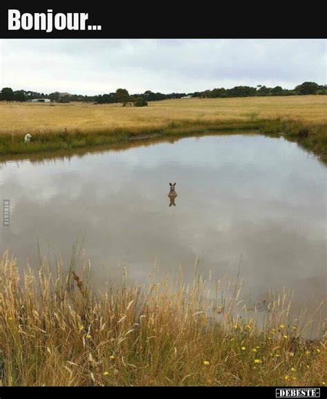 Bonjour... - DEBESTE.de