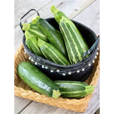 jual zucchini organik  shopee indonesia