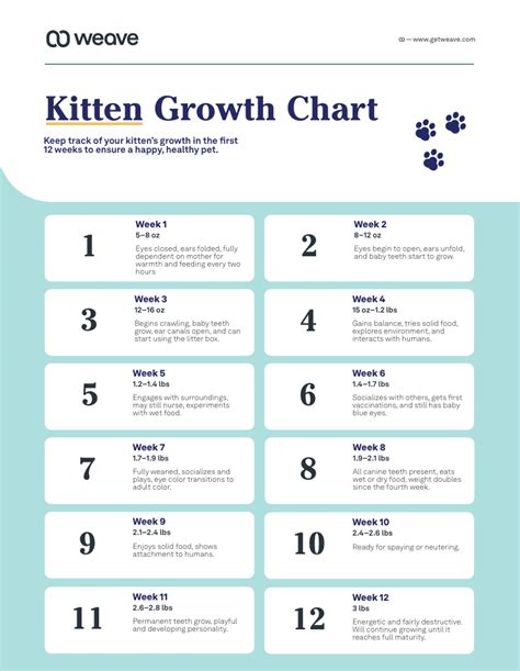 Kitten Growth Chart for Veterinarian Clients & Pet Parents | Weave | Weave