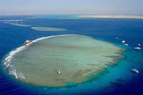 White Island Ras Mohamed National Park Snorkeling Boat Trip