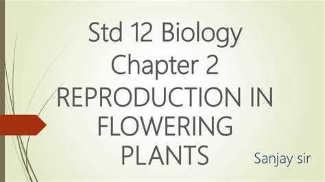 Std 12 Chapter 2 Reproduction In Flowering Plants Ppt