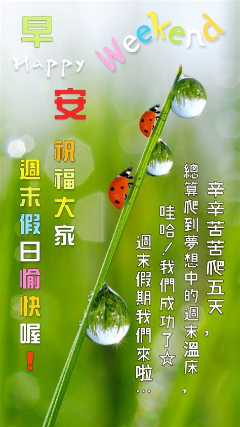 週末假日愉快~ | Weekend in chinese, Good morning coffee gif, Chinese morning
