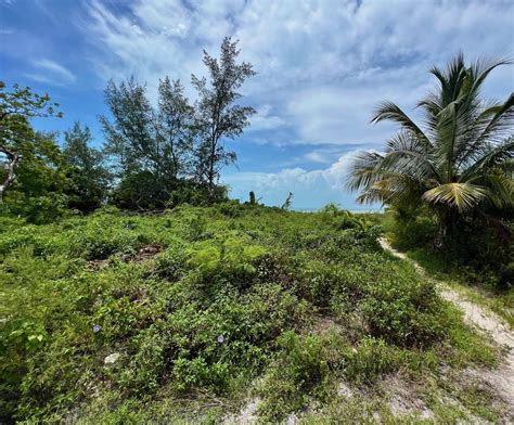 Bahamas Real Estate On Bimini For Sale Id 47673