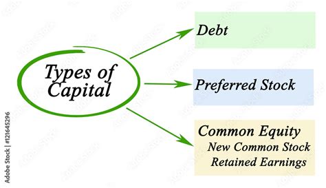 Types of Capital Stock Illustration | Adobe Stock