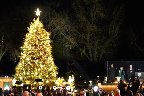 nation christmas tree 11