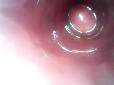 Homemade Butt Cam Free Gay Anal Toy HD Porn Video 79 XHamster