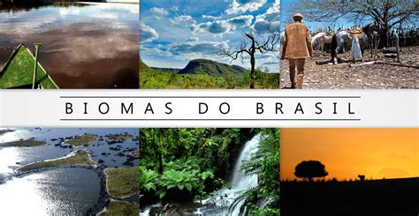 Capa De Trabalho Biomas Brasileiros - 9