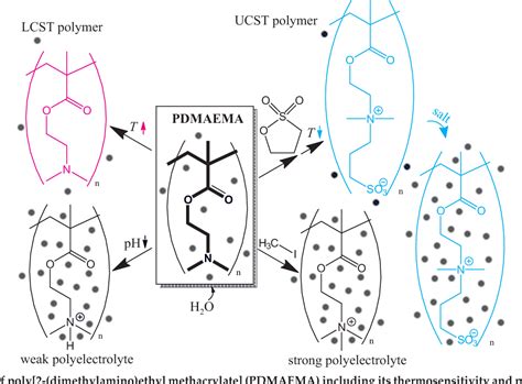 Figure 1 From Star Shaped Poly[2 Dimethylamino Ethyl Methacrylate] And Its Derivatives Toward