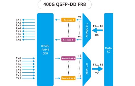 400G ZR DR4 FR4 LR4 SR8 QSFP DD Optical Transceiver FiberMall