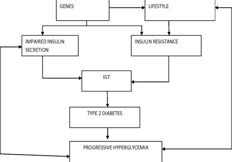 Diabetes Mellitus Pathophysiology Diabeteswalls