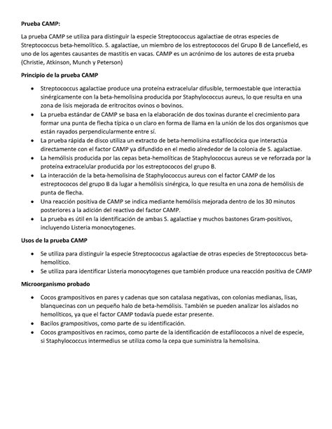 Prueba CAMP - S. agalactiae, un miembro de los estreptococos del Grupo