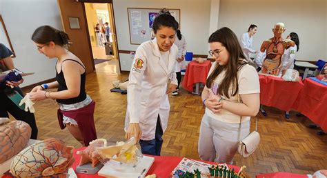 Feira De Profiss Es Col Gio Santo Andr Agosto