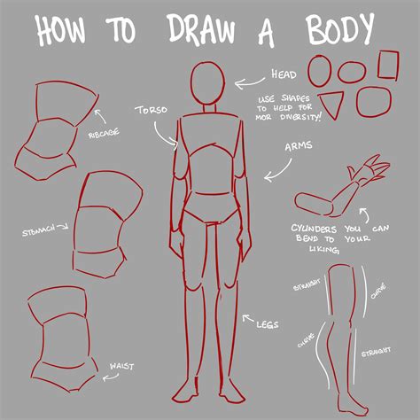 Pin By Just A Pal On Anatomy Sketches Tutorial Art Tools Drawing