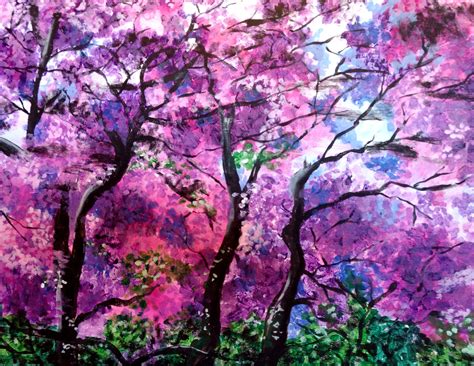 jacaranda tree pink 6