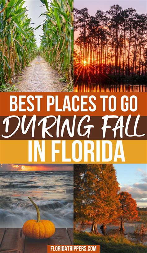 Florida In Fall: What To Do And Where to Go | Fall travel, Cool places