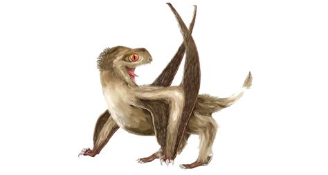 Pterosaurs PNG Pic PNG All