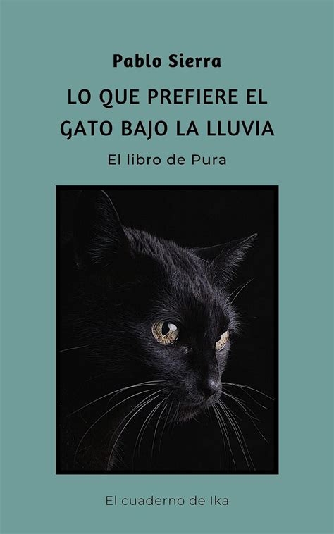 Lo Que Prefiere El Gato Bajo La Lluvia El Libro De Pura By Pablo