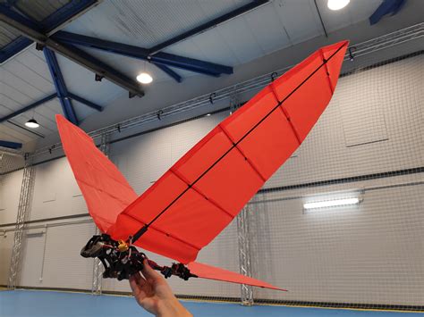 What the new mcgahee griffin project means for residents 3