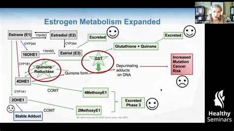 Get Out Understanding Proper Estrogen Detoxification Through Phases 1